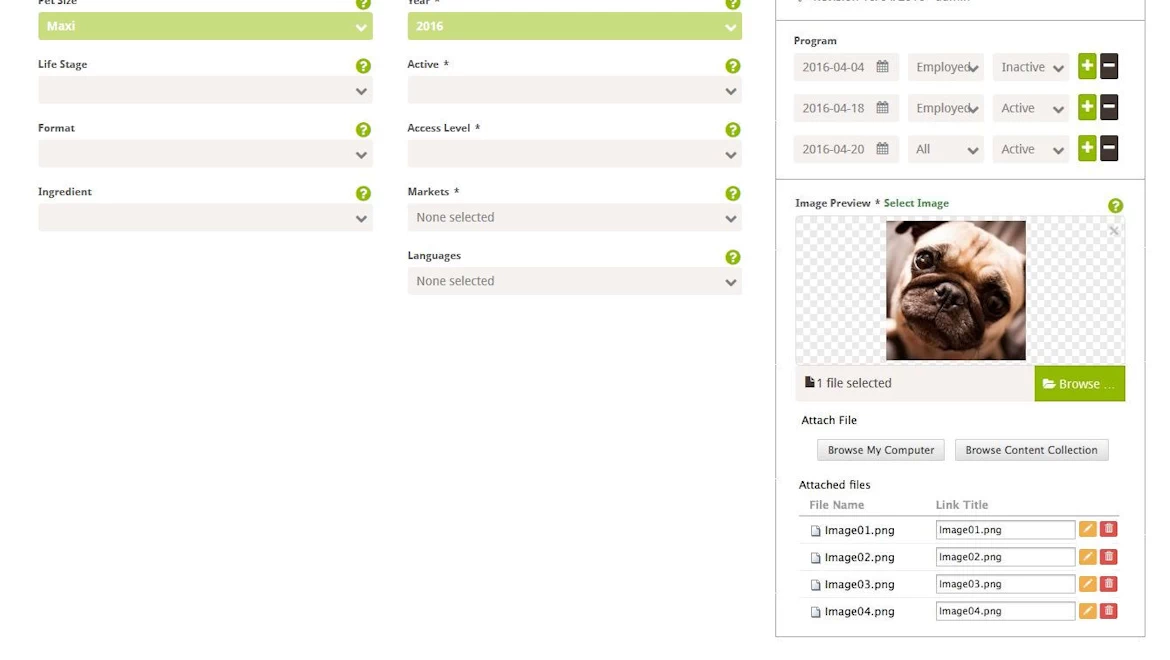 Affinity Brandcenter - Image 3